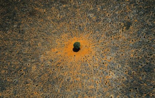 Planet Earth: The view from the above Planet Earth: The view from the above