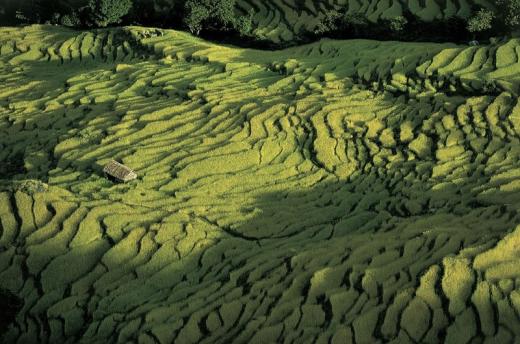 Planet Earth: The view from the above Planet Earth: The view from the above