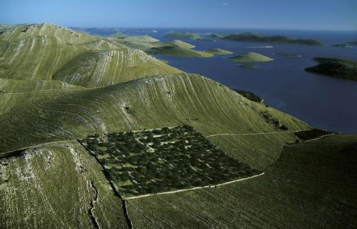 Planet Earth: The view from the above