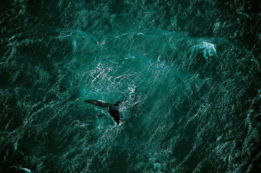 Planet Earth: The view from the above Planet Earth: The view from the above