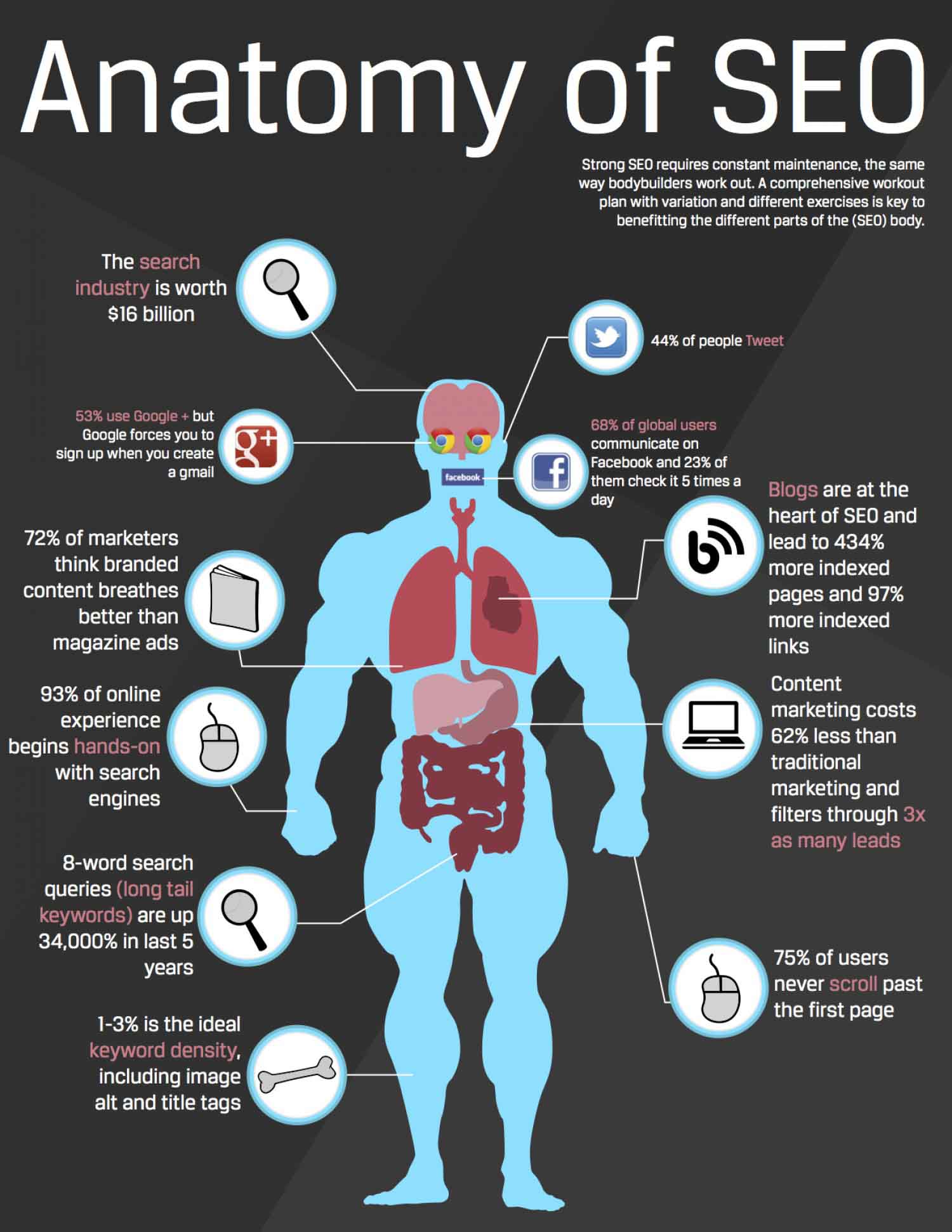 anatomy of seo