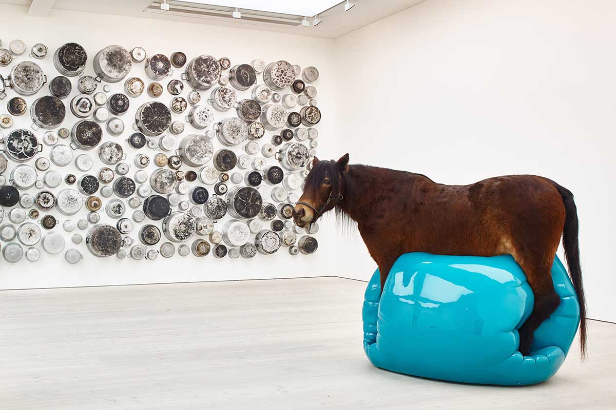 Why the Saatchi Gallery Is Worth Visiting