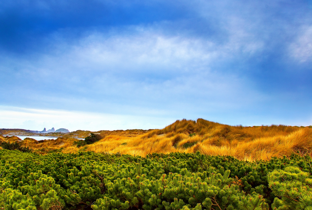 Finding Vistas