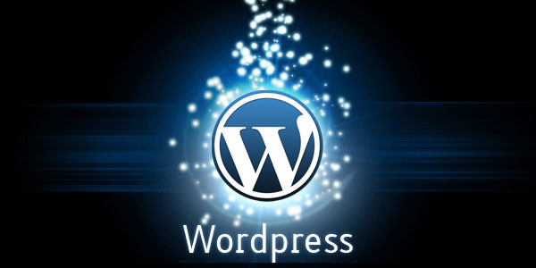 Tools For The WordPress Admin