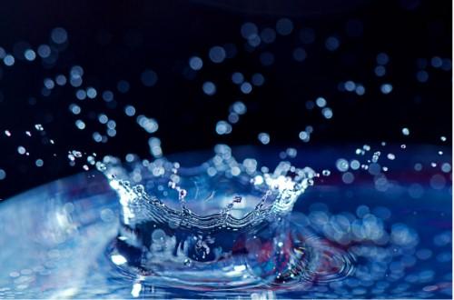 Pictures made with fast shoting camera