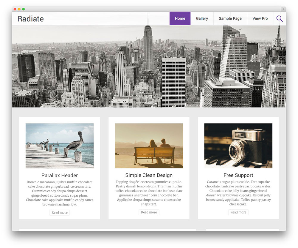 New WordPress Theme