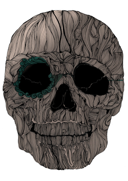 Human Skull Illustrations