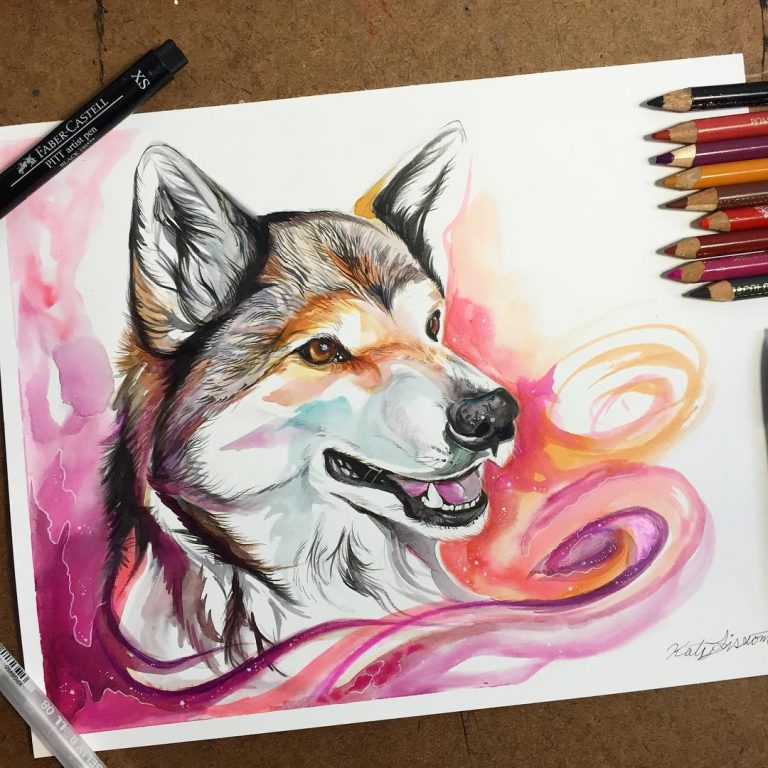 Colorful Pencil And Marker Illustrations By Katy Lipscomb
