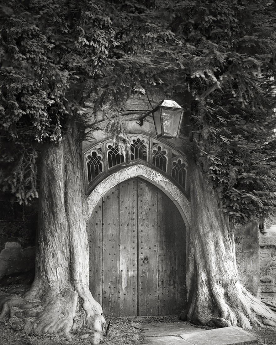 Famous_Photographs_of_Trees_by_Beth_Moon (7)