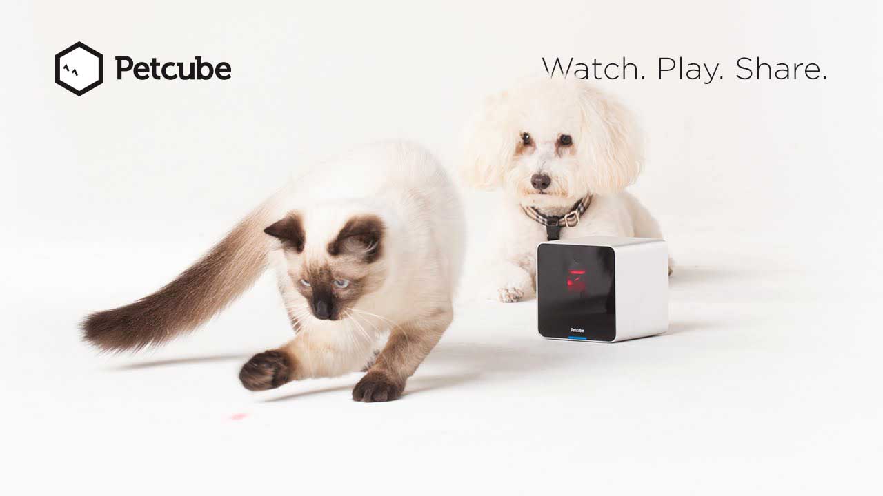 pet monitoring systempet store-petcube