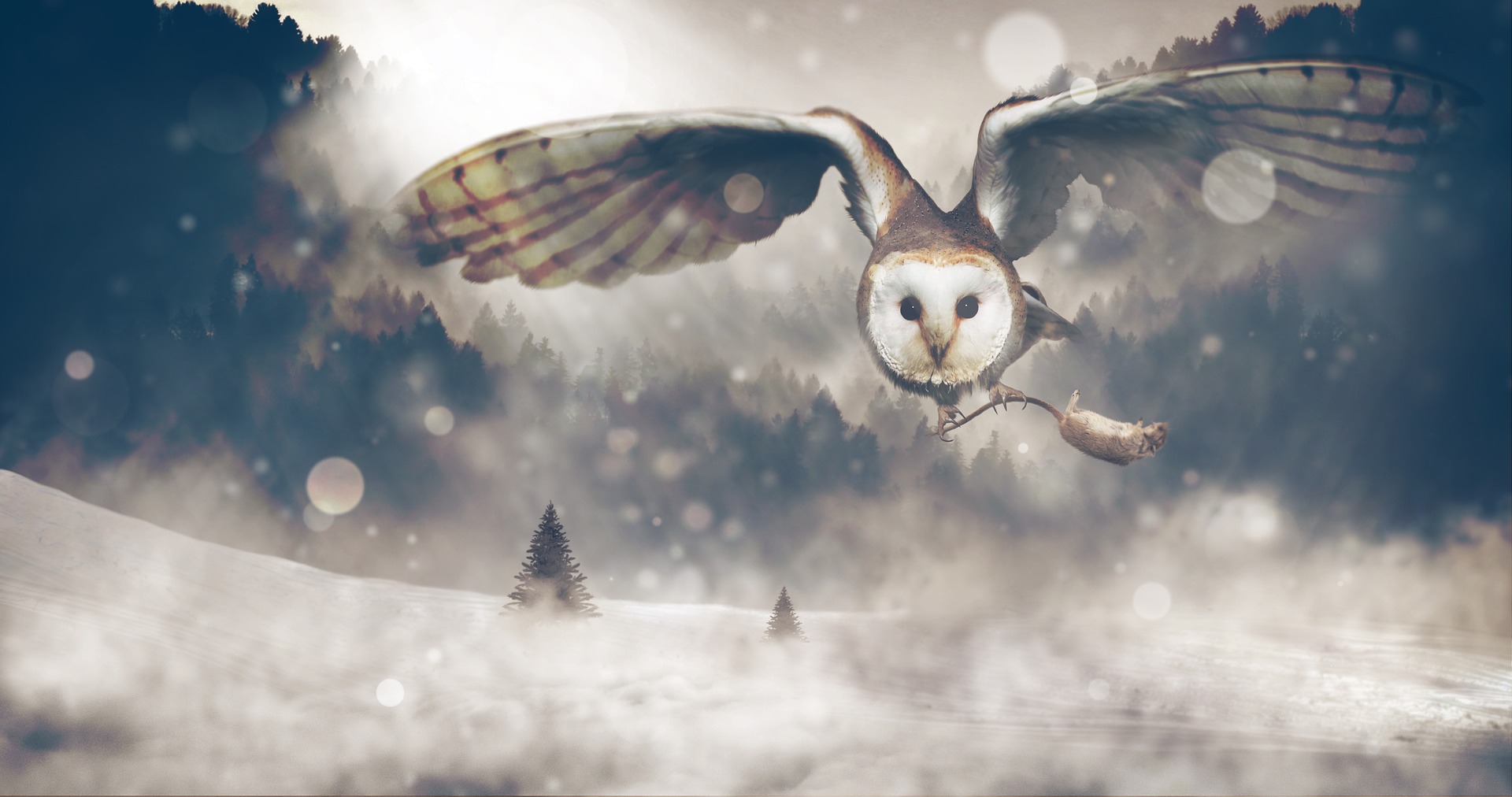 Who Knows How to Make Photo Manipulation Look Real