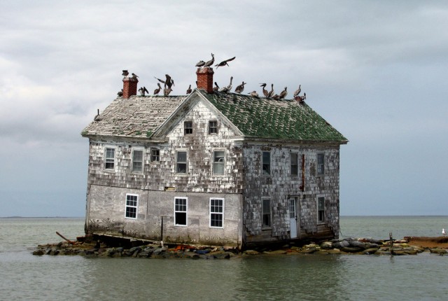 Maryland, USA. This abandoned house is a favorite location of birds and is the last reminder that people lived