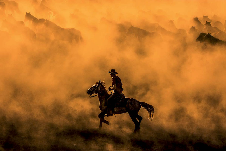 Oktay Subasi, Turkey, Shortlist, Open, Motion, 2017 Sony World Photography Awards