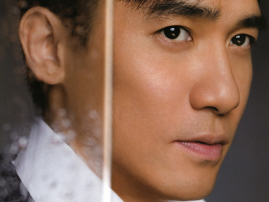 Tony Leung Chiu Wai_chinese male actors