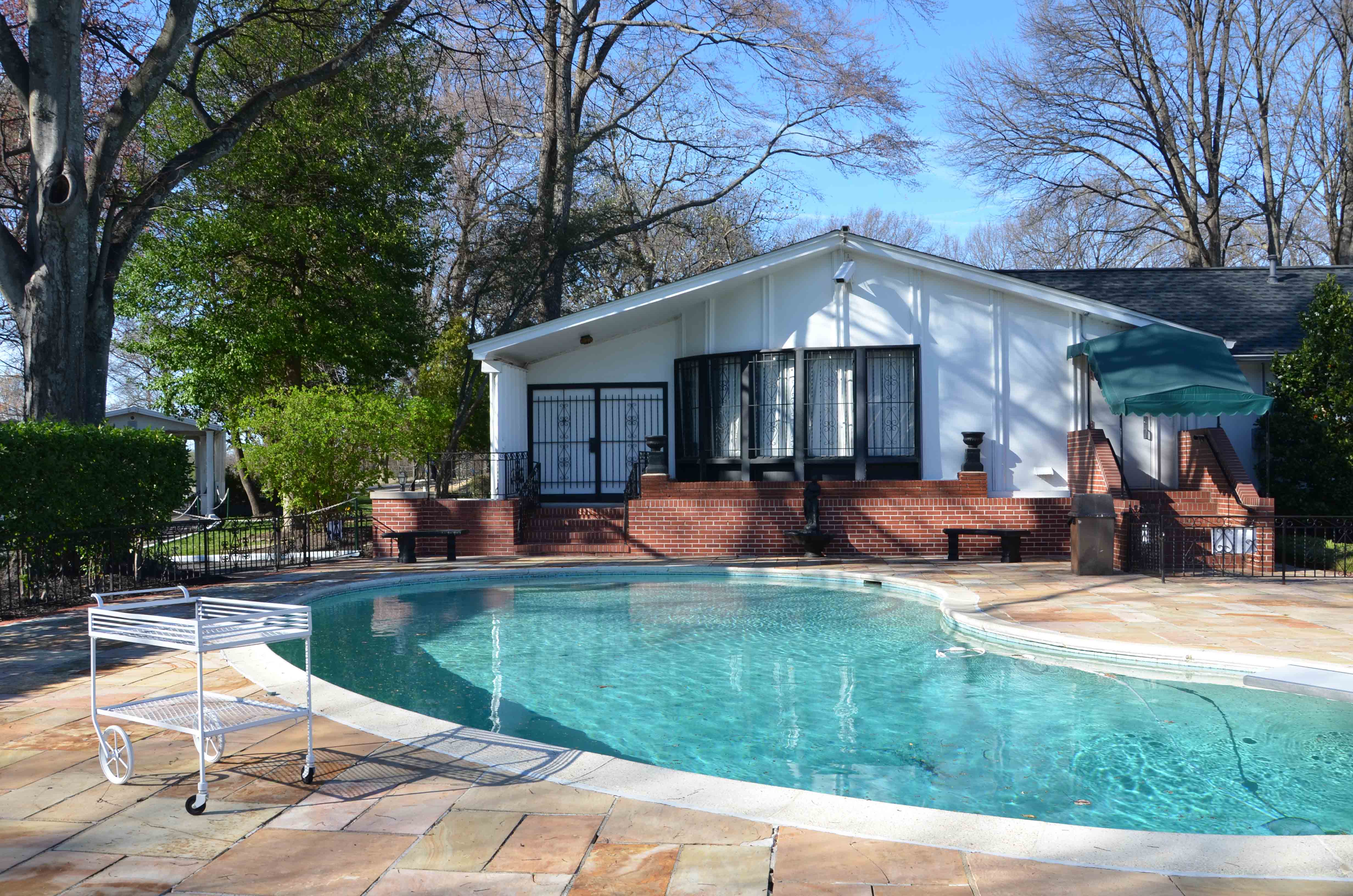 elvis-pool-graceland