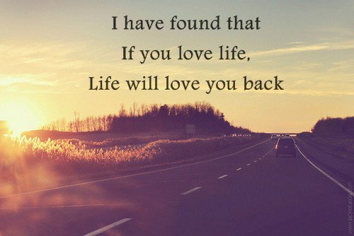 Life You Love