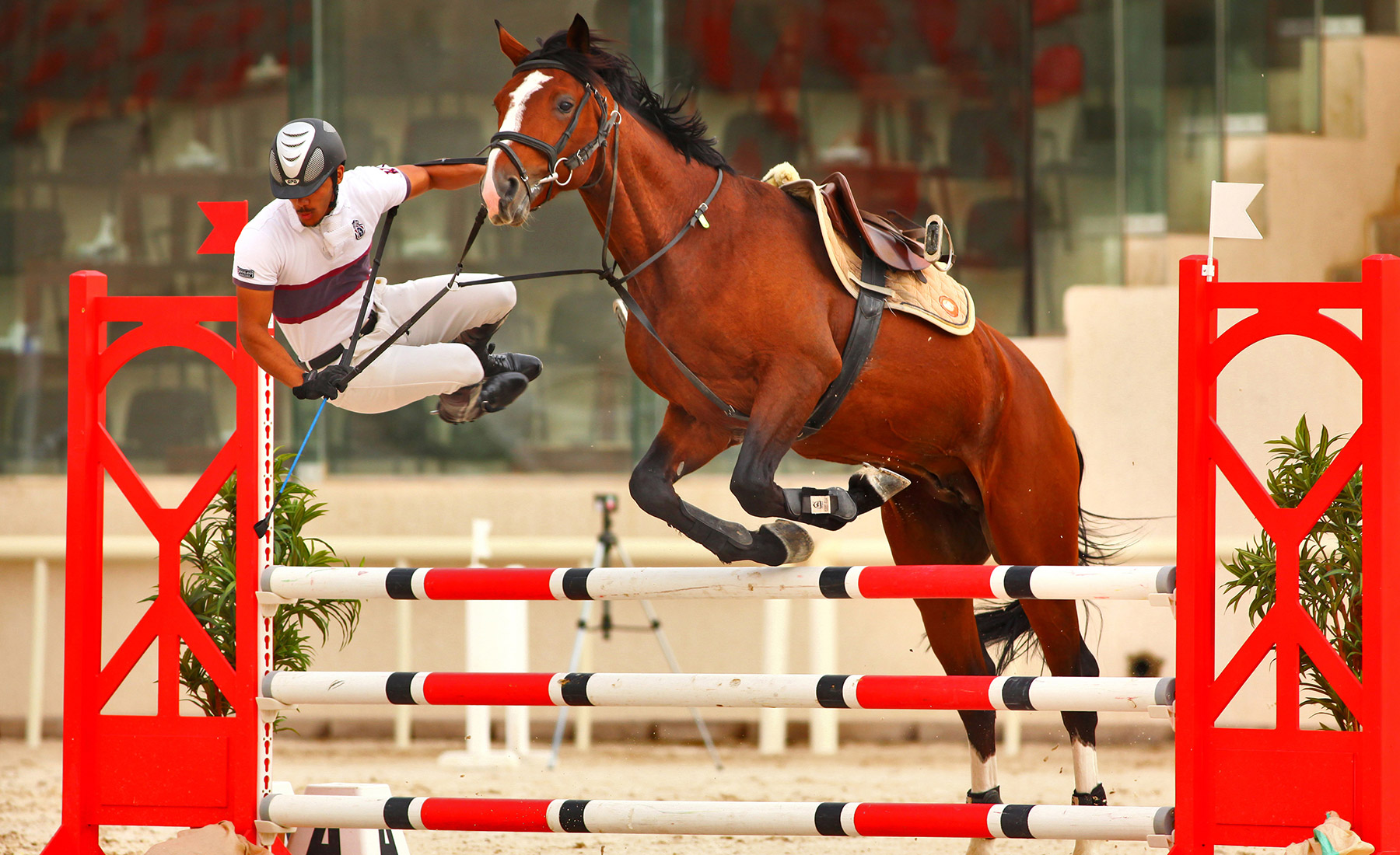 By Maitham Al Misry, "Horse jump" (Kuwait)