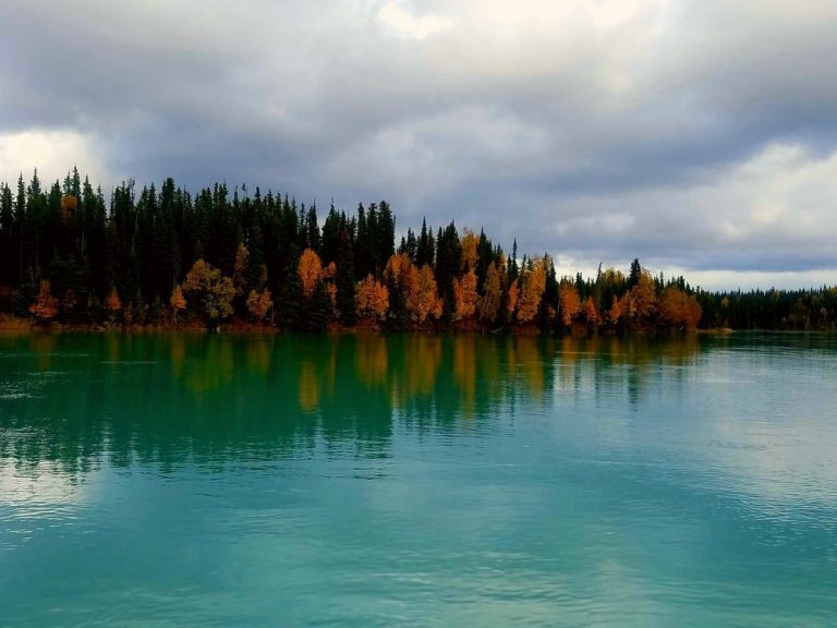 5 Best Spots To Catch Big Fish In Alaska An Ultimate Guide