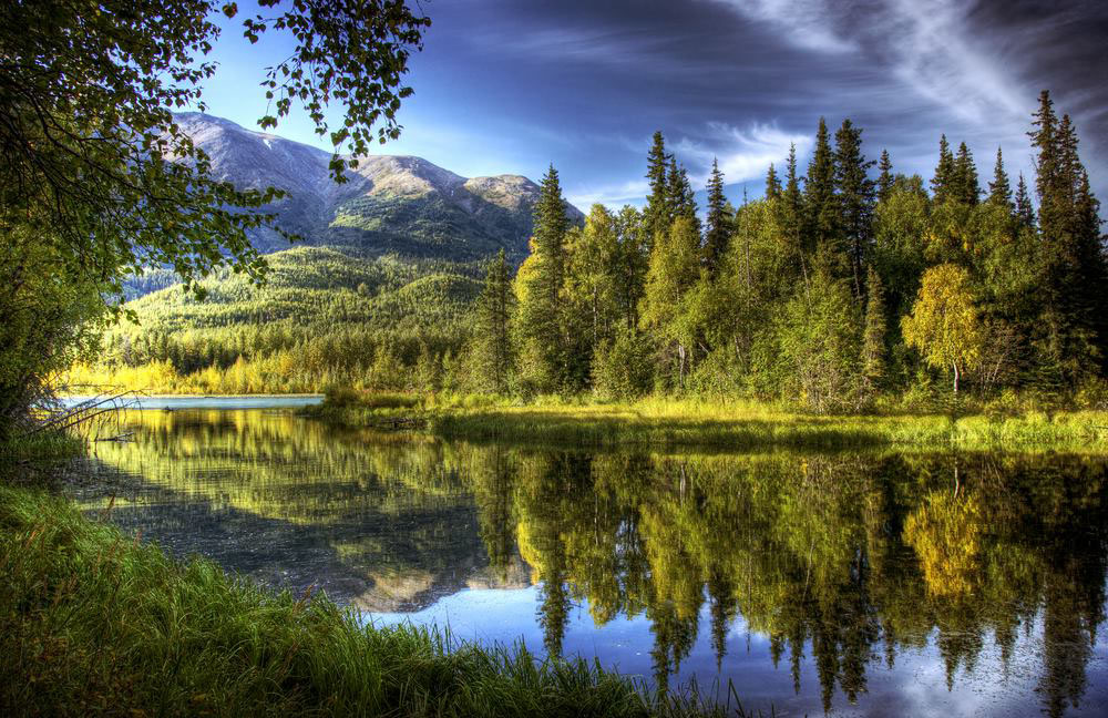 Kenai River