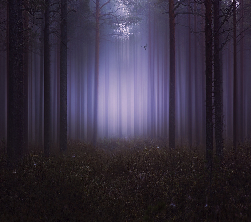pictures of landscapes