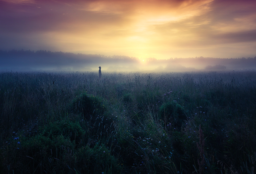 beautiful landscapes