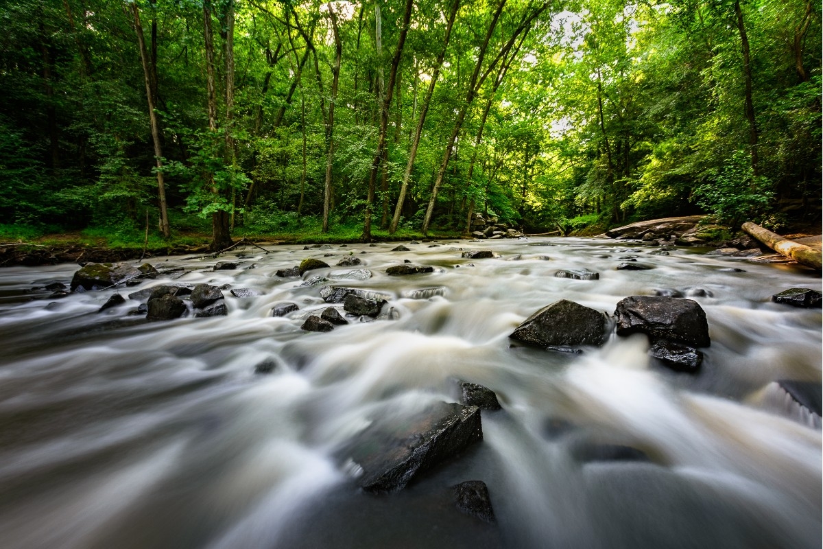 William B. Umstead State Park