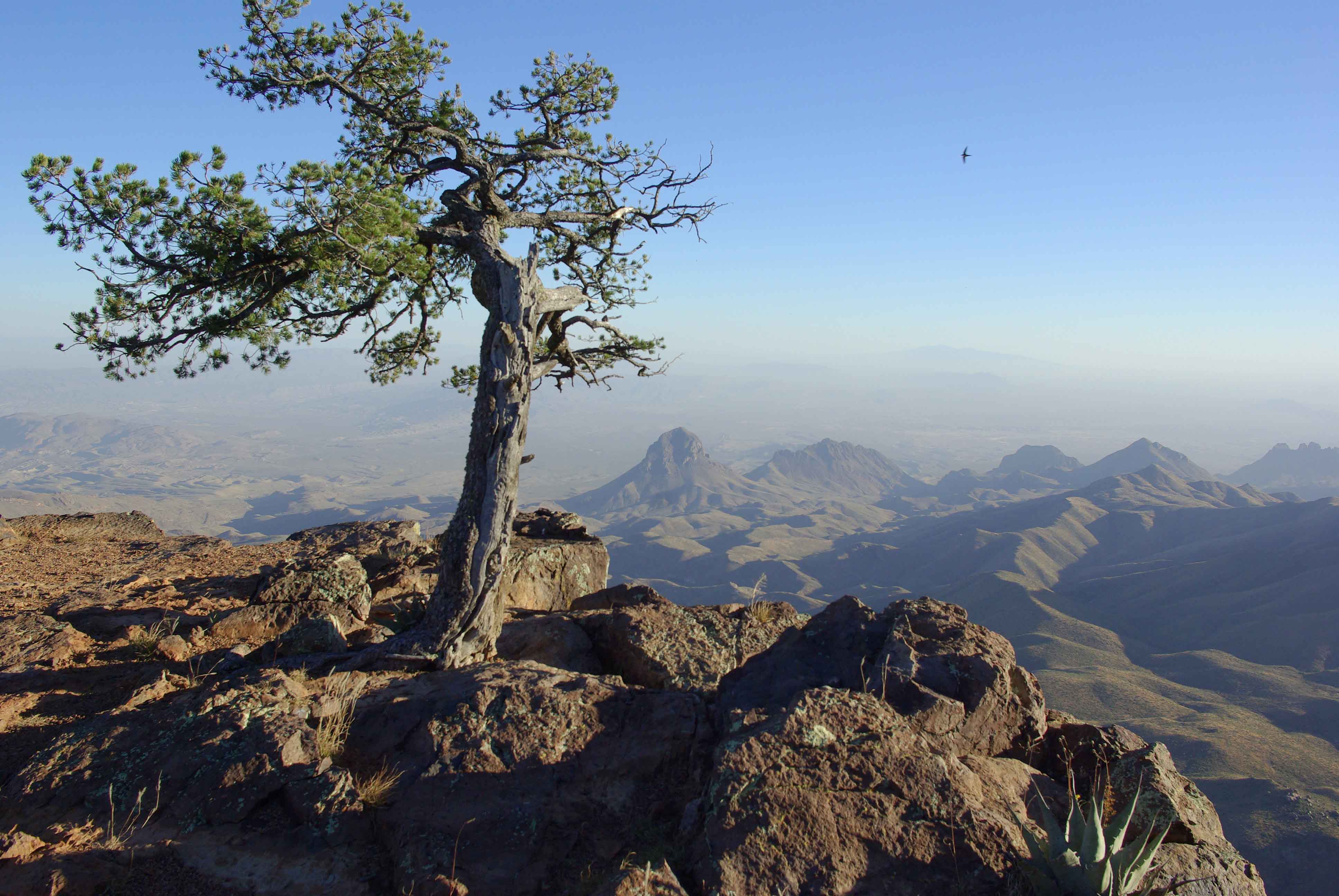 Big fun in Big Bend