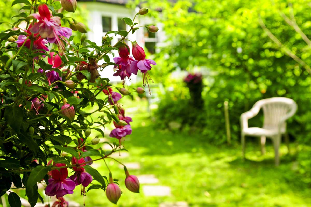 Not Watering the Plants during Winter