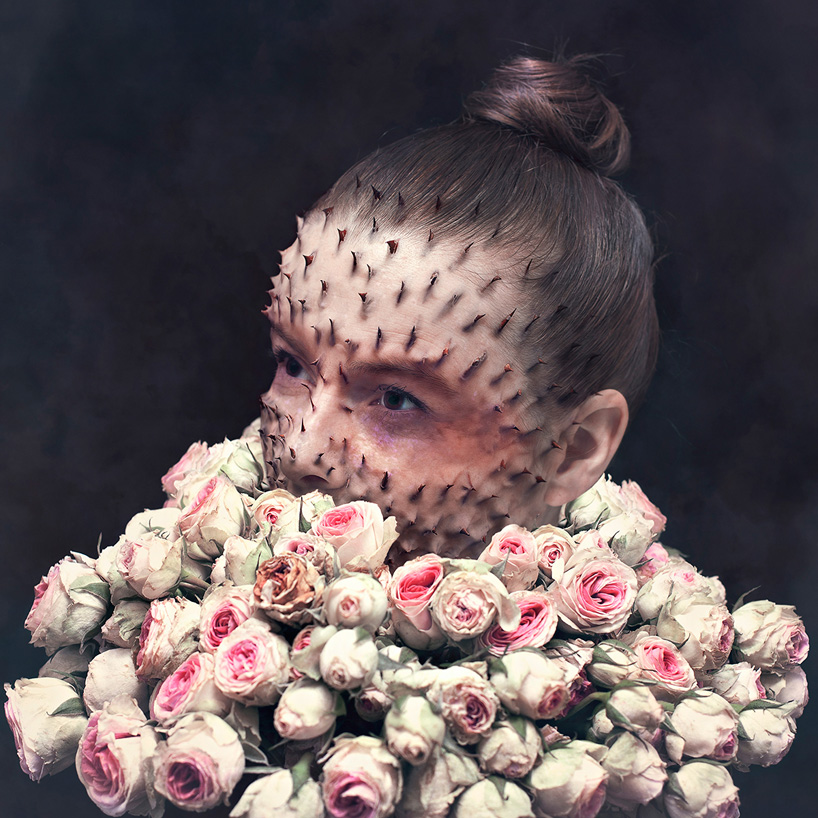 cal-redback-human-nature-artl-ofl-photol-manipulation_2