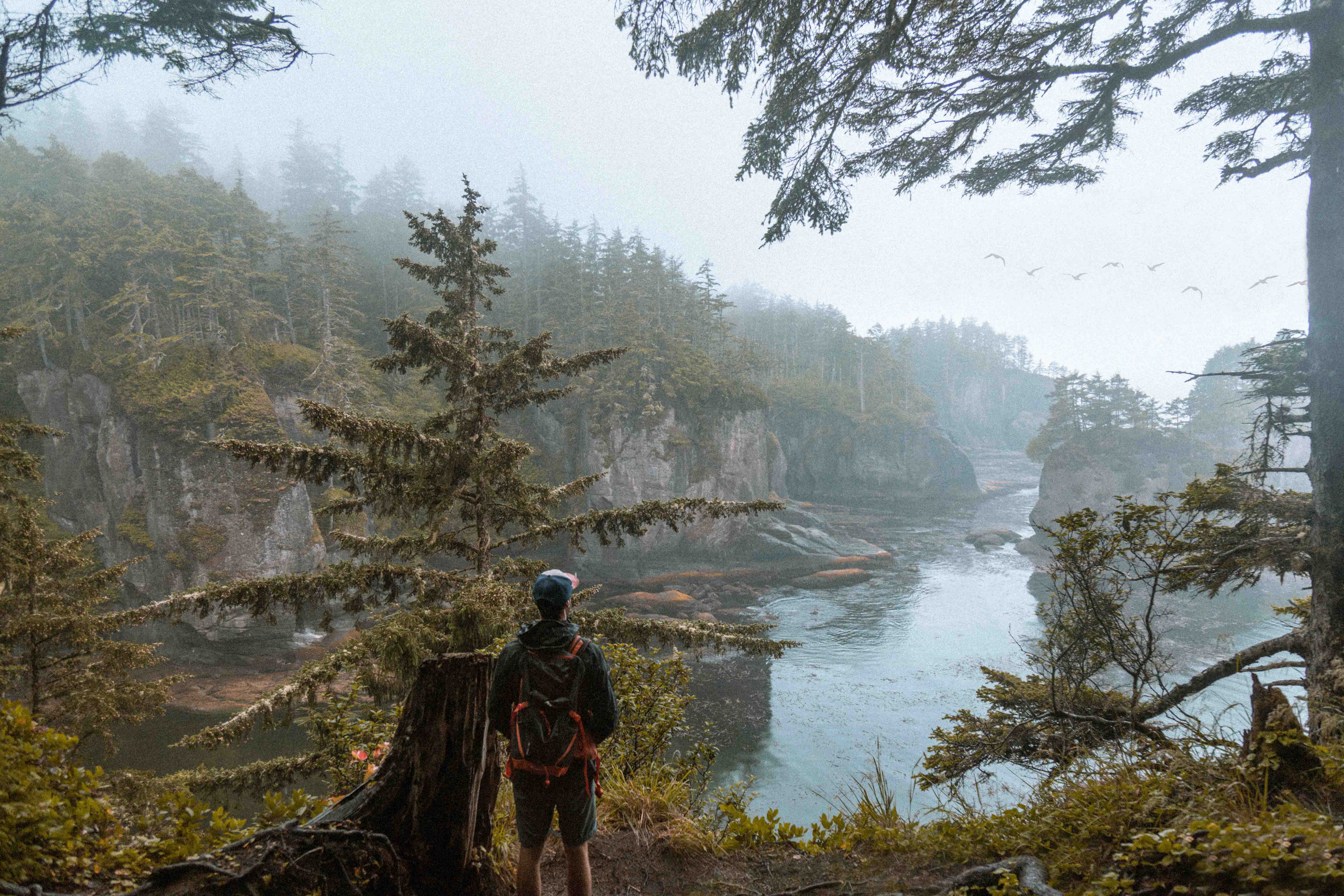 Five Wild Animals You Might See While Hiking in North America.