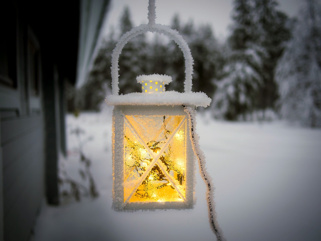 6 Easy Tips To Help You Prepare Your Garden For Winter.