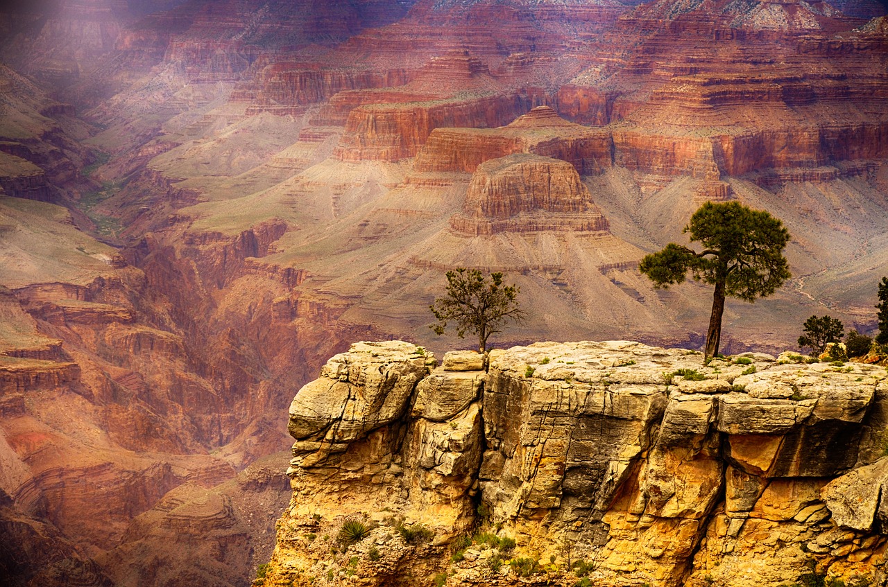 Tour the Grand Canyon