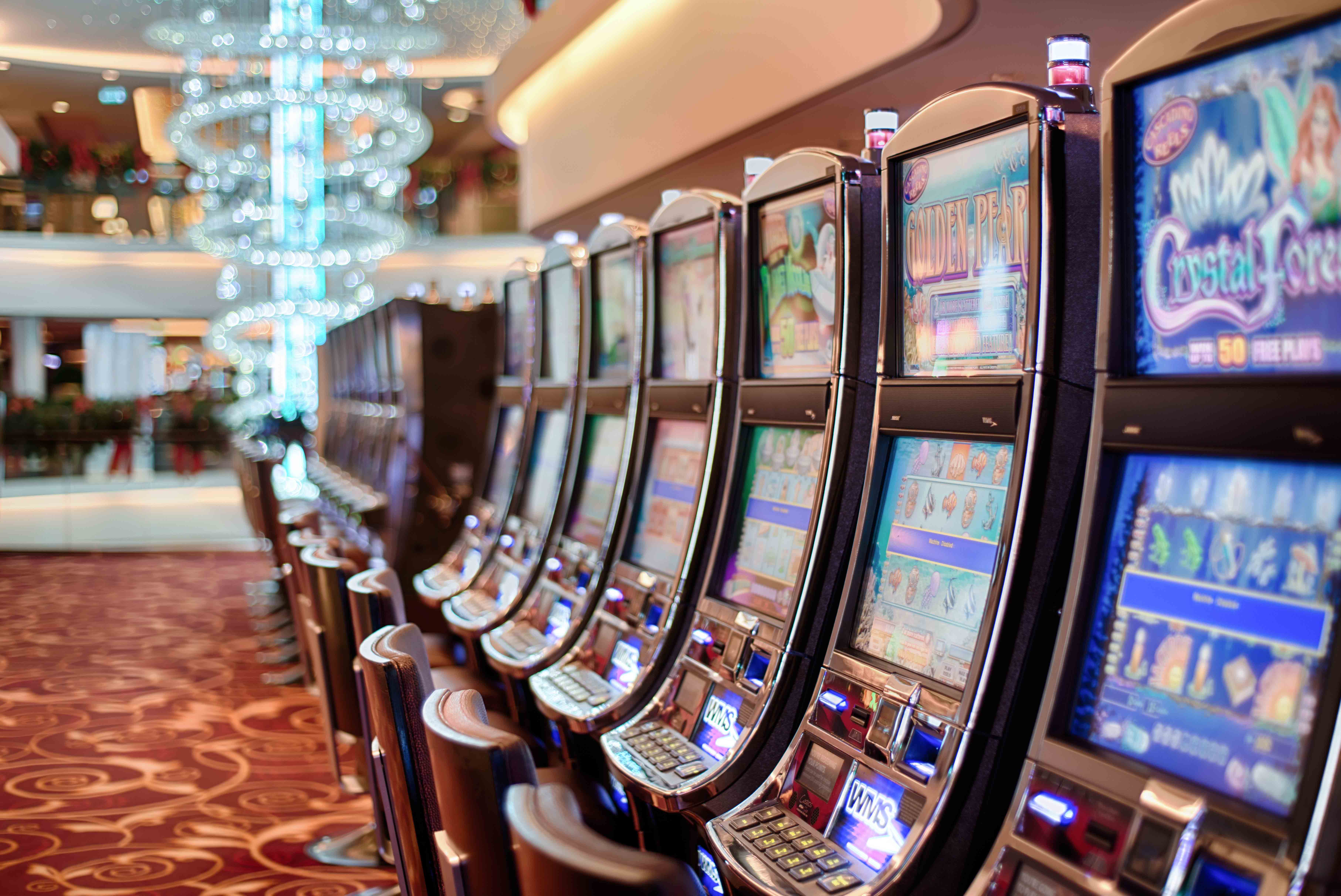 The Definitive Guide To slot