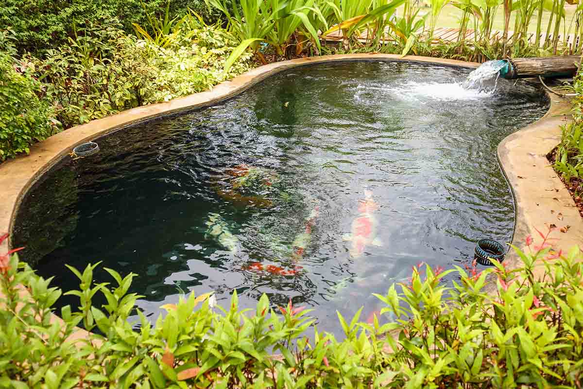 Where You Can Find the Best Pond Pumps