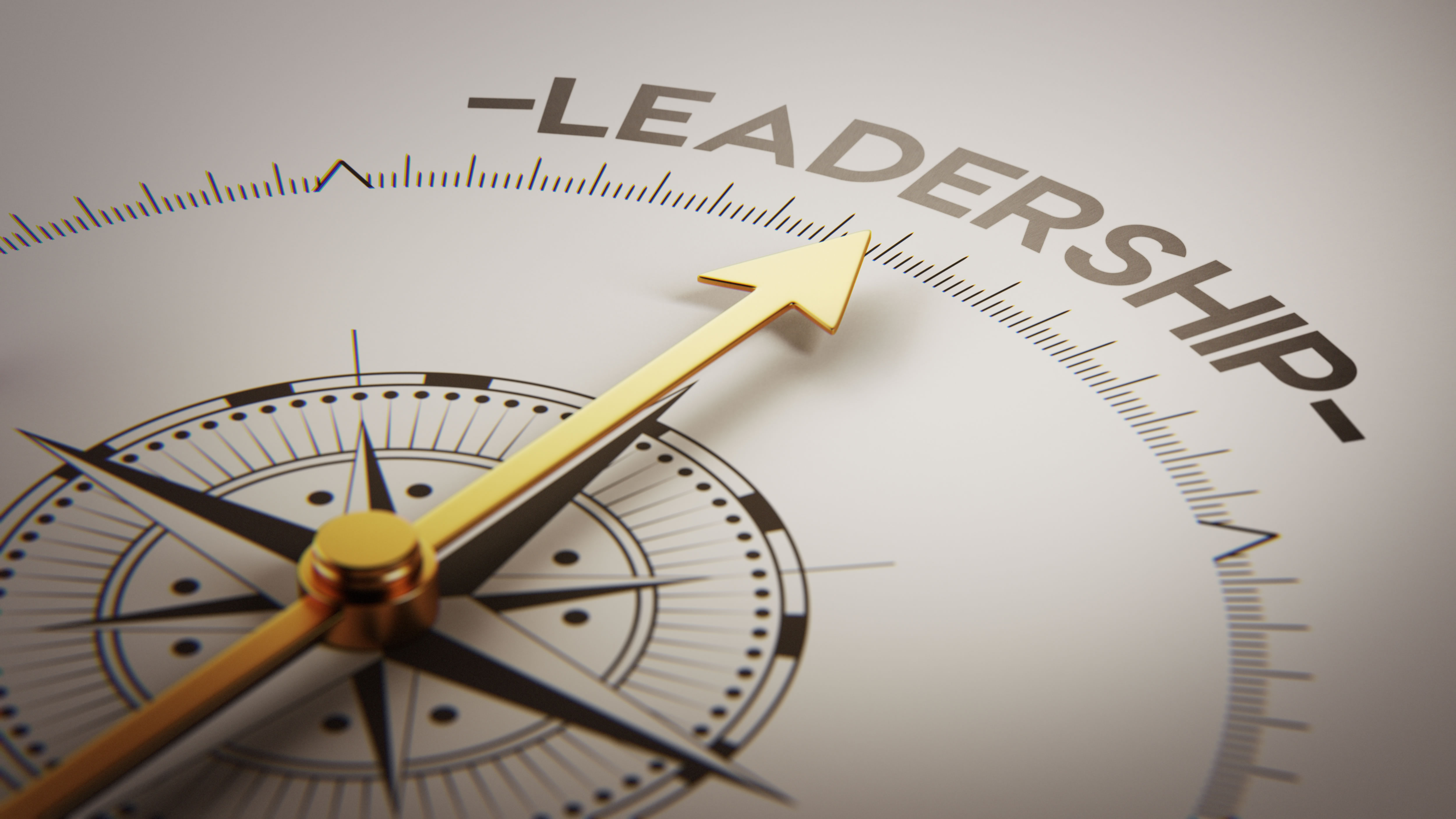 natural leadership skills