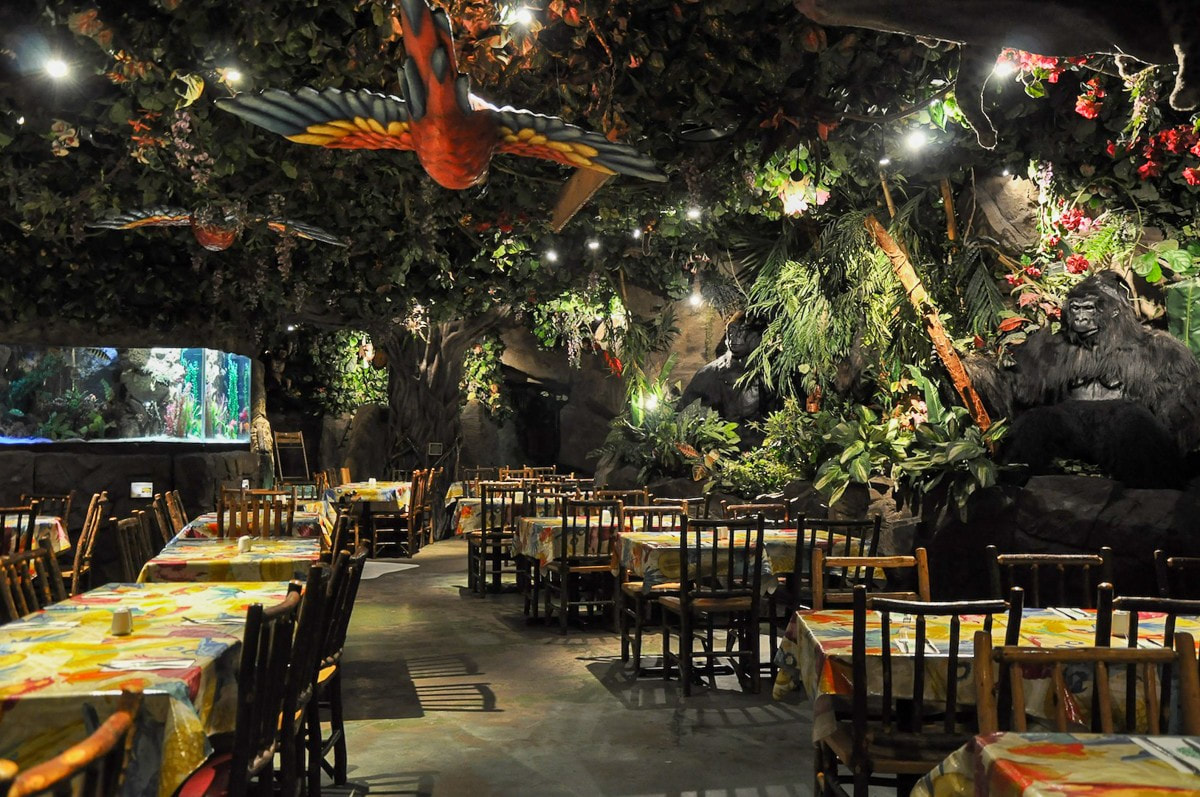 The_Rainforest_ Cafe_London