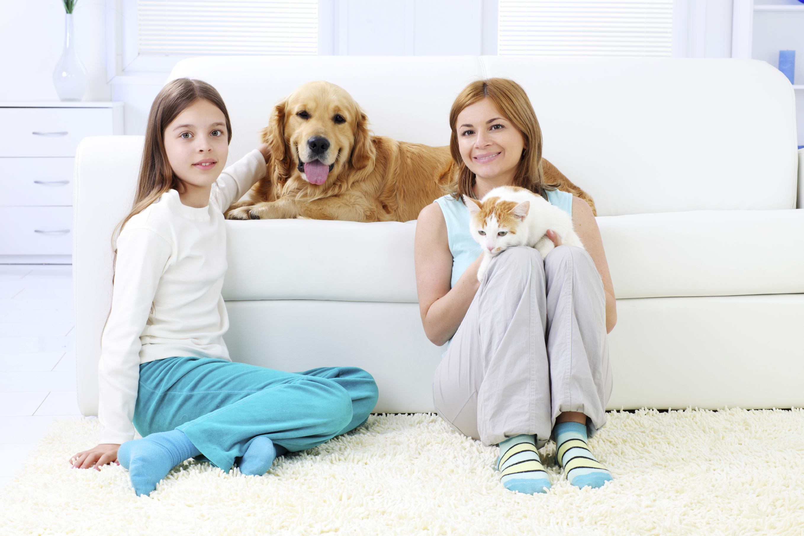 best carpet cleaner for pets