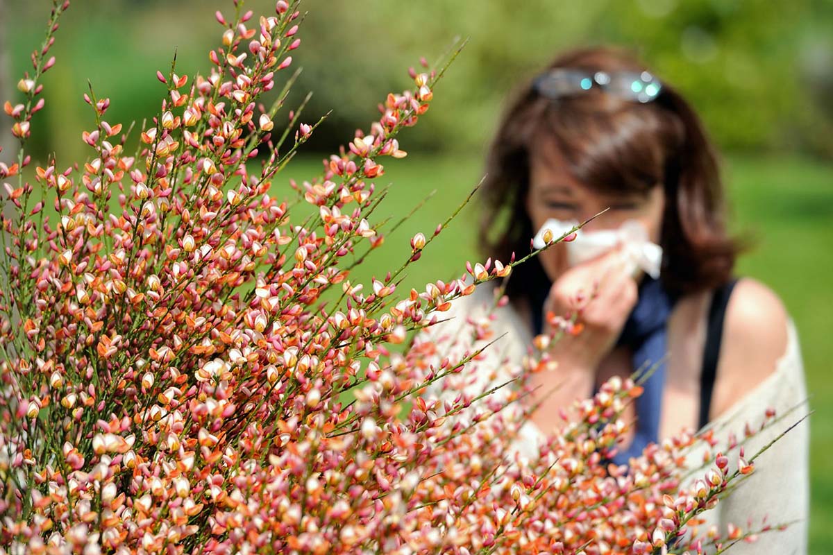 Dealing With Allergies While Traveling
