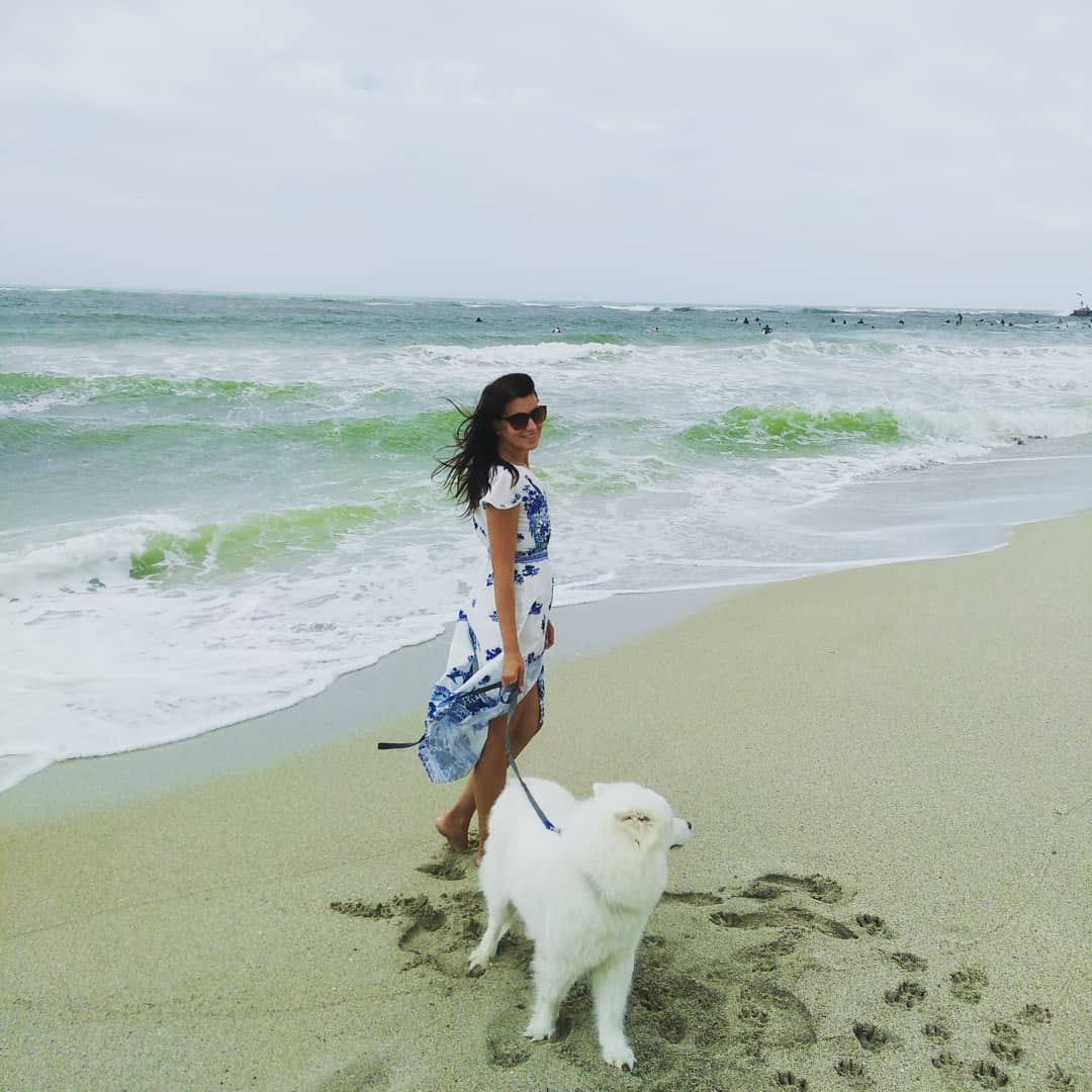 visa for a pet or pet passport