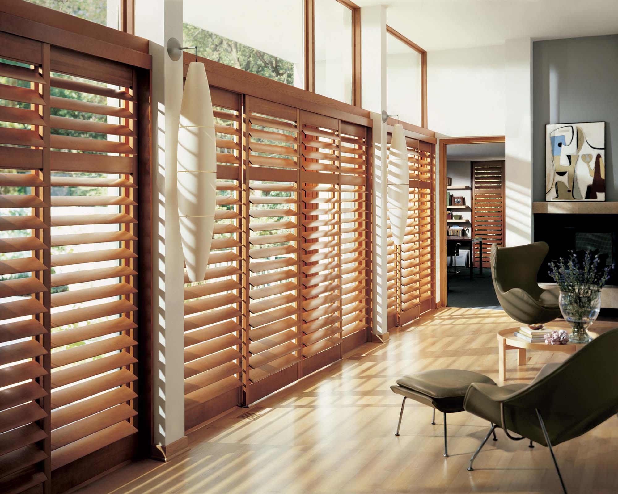 Lutron blinds_Window_Blinds