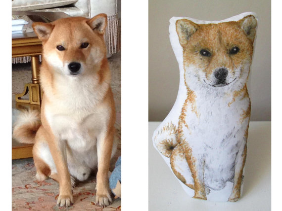 pet pillows,