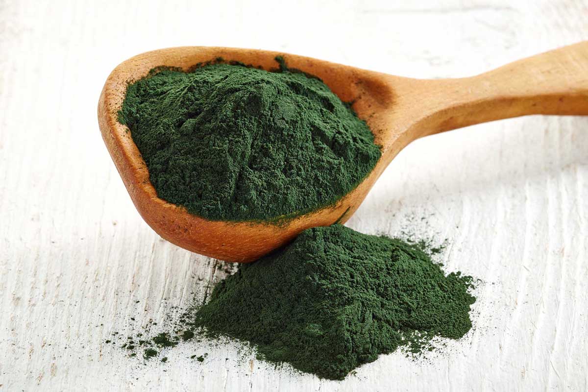 Best Vegan Protein Powder Brands to Try Now