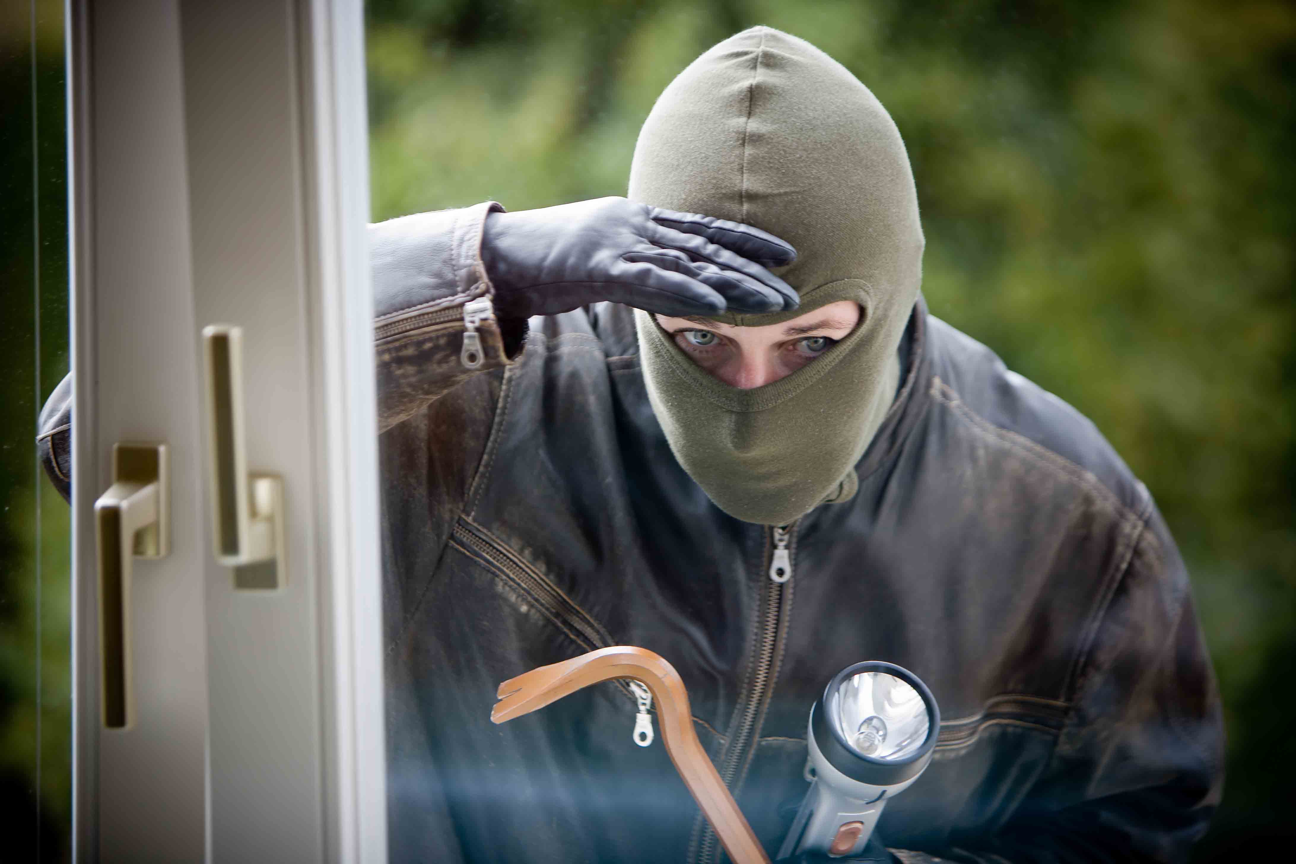 security system Scotsman Shield
