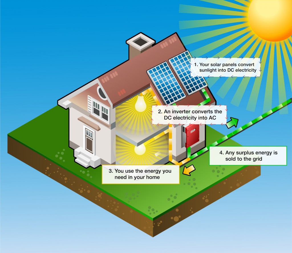 How Do Renewable Energies Work