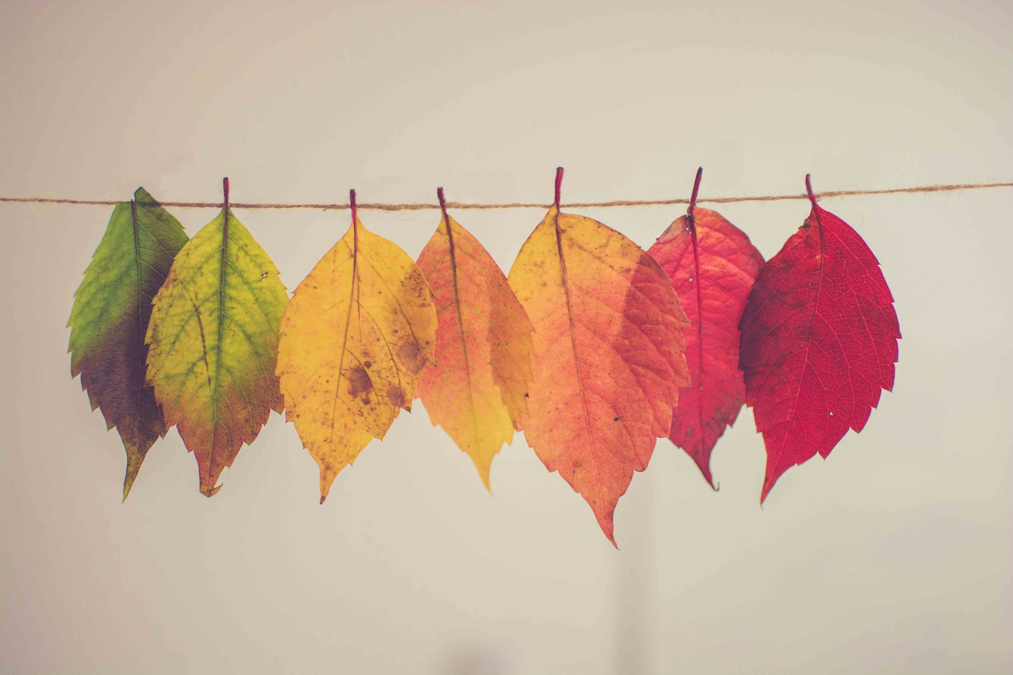Understanding the Right Time to Move to Memory Care