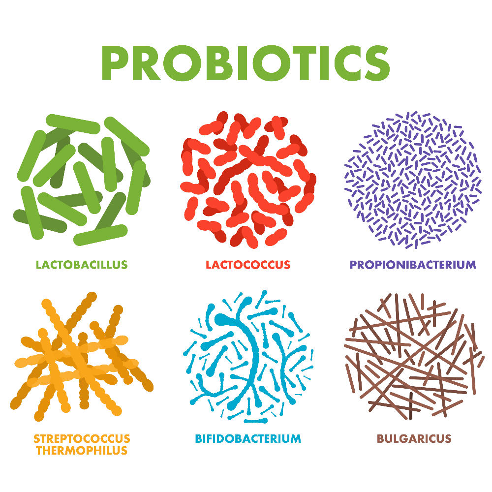 probiotics