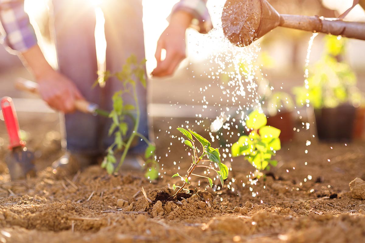 benefits of gardening