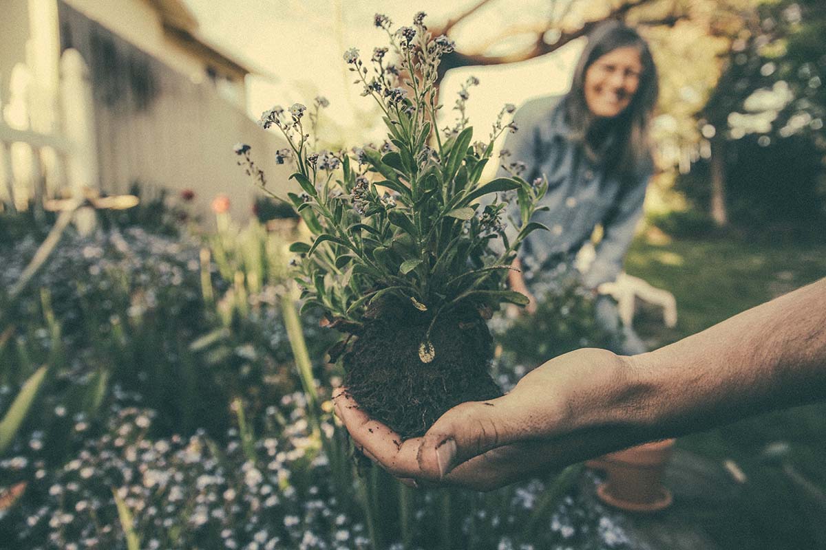 health benefits of gardening