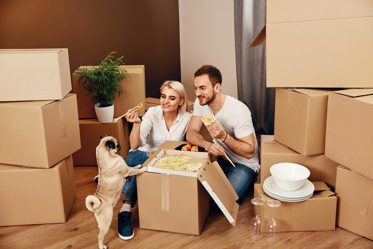 moving with a dog