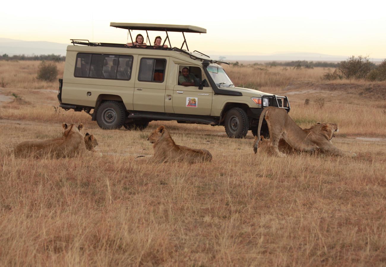 Distinguish Between Cheap Safaris and those that offer Value